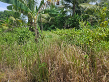 Load image into Gallery viewer, Bohol lot for sale with irrigated ricefield and upland in Ubay Bohol