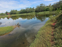 Load image into Gallery viewer, Bohol fish pond for sale  in Getafe Bohol Philippines