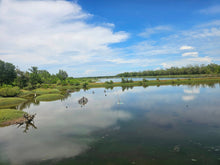 Load image into Gallery viewer, Bohol fish pond for sale  in Getafe Bohol Philippines
