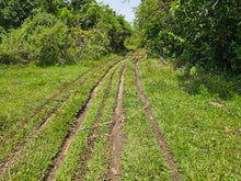 Load image into Gallery viewer, LOT FOR SALE – BALILIHAN, BOHOL, PHILIPPINES 🇵🇭  near Tagbilaran City