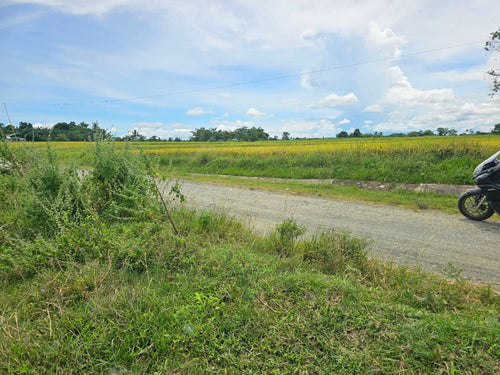 Bohol irrigated ricefield for sale in Ubay Bohol