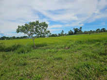 Load image into Gallery viewer, Bohol irrigated ricefield for sale in Ubay Bohol