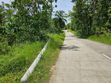 Load image into Gallery viewer, 📍 BOHOL LOT FOR SALE – BALILIHAN, BOHOL, PHILIPPINES near Tagbilaran City