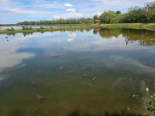 Load image into Gallery viewer, Bohol fish pond for sale  in Getafe Bohol Philippines