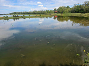 Bohol fish pond for sale  in Getafe Bohol Philippines
