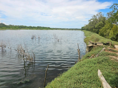 Bohol fish pond for sale  in Getafe Bohol Philippines