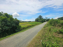 Load image into Gallery viewer, Bohol irrigated ricefield for sale in Ubay Bohol