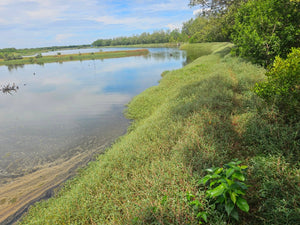 Bohol fish pond for sale  in Getafe Bohol Philippines