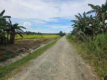 Load image into Gallery viewer, Bohol irrigated ricefield for sale in Ubay Bohol