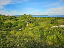 Load image into Gallery viewer, Bohol overlooking lot for sale with 360 degrees views (mountain and sea)
