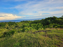 Load image into Gallery viewer, Bohol overlooking lot for sale with 360 degrees views (mountain and sea)