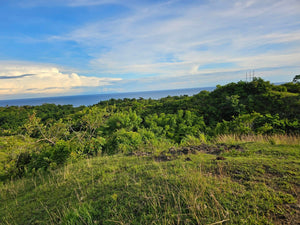 Bohol overlooking lot for sale with 360 degrees views (mountain and sea)