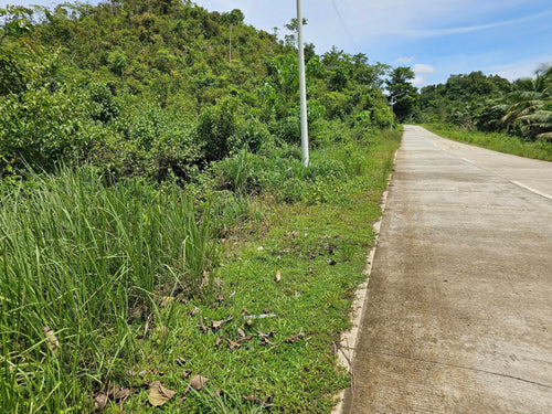 LOT FOR SALE – BALILIHAN, BOHOL, PHILIPPINES 🇵🇭  near Tagbilaran City