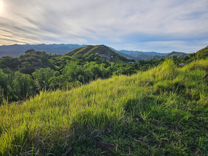 Bohol overlooking lot for sale with 360 degrees views (mountain and sea)