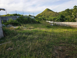 Bohol overlooking lot for sale with 360 degrees views (mountain and sea)