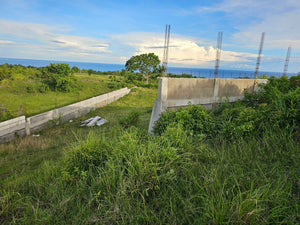 Bohol overlooking lot for sale with 360 degrees views (mountain and sea)