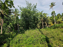 Load image into Gallery viewer, Bohol lot for sale at President Carlos P. Garcia Bohol also known as Pitogo Island