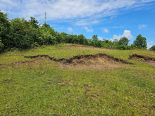 Load image into Gallery viewer, Bohol lot for sale at President Carlos P. Garcia Bohol also known as Pitogo Island