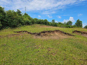 Bohol lot for sale at President Carlos P. Garcia Bohol also known as Pitogo Island