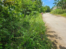 Load image into Gallery viewer, Bohol lot for sale at President Carlos P. Garcia Bohol also known as Pitogo Island