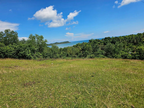 Bohol lot for sale at President Carlos P. Garcia Bohol also known as Pitogo Island