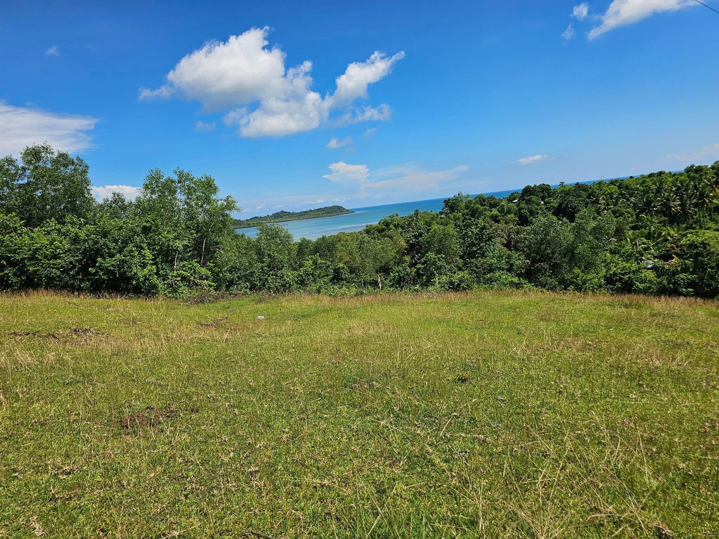 Bohol lot for sale at President Carlos P. Garcia Bohol also known as Pitogo Island