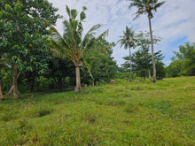 Load image into Gallery viewer, Bohol lot for sale at President Carlos P. Garcia Bohol also known as Pitogo Island