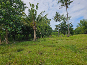 Bohol lot for sale at President Carlos P. Garcia Bohol also known as Pitogo Island