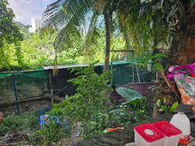 Load image into Gallery viewer, Overlooking Prime lot for sale in Lahug Cebu City