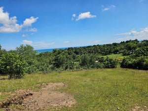 Bohol lot for sale at President Carlos P. Garcia Bohol also known as Pitogo Island