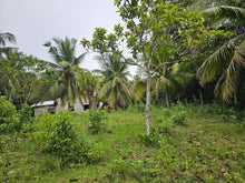 Load image into Gallery viewer, Bohol lot for sale 4,400 sqm clean title in Mariveles Dauis, Bohol , Panglao Island 2,000/sqm