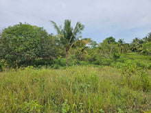Load image into Gallery viewer, Bohol lot for sale 4,400 sqm clean title in Mariveles Dauis, Bohol , Panglao Island 2,000/sqm
