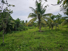 Load image into Gallery viewer, Bohol lot for sale 4,400 sqm clean title in Mariveles Dauis, Bohol , Panglao Island 2,000/sqm