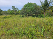 Load image into Gallery viewer, Bohol lot for sale 4,400 sqm clean title in Mariveles Dauis, Bohol , Panglao Island 2,000/sqm