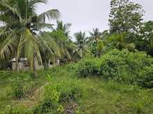 Load image into Gallery viewer, Bohol lot for sale 4,400 sqm clean title in Mariveles Dauis, Bohol , Panglao Island 2,000/sqm