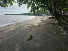 Load image into Gallery viewer, Beach lot for sale in Guindulman Bohol