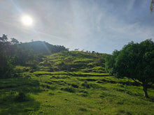 Load image into Gallery viewer, Overlooking lot for sale in Cabantian Hills, Guindulman Bohol