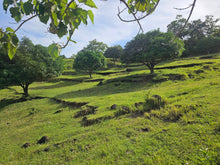 Load image into Gallery viewer, Overlooking lot for sale in Cabantian Hills, Guindulman Bohol