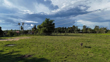 Load image into Gallery viewer, 10,763 sqm clean title for sale in Bien Unido Bohol 500/sqm