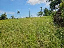 Load image into Gallery viewer, Lot for Sale in Trinidad, Bohol – 51,595 sqm (Clean Title)