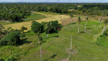 Load image into Gallery viewer, Lot for Sale in Trinidad, Bohol – 51,595 sqm (Clean Title)