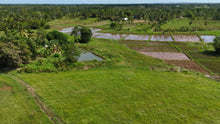 Load image into Gallery viewer, Lot for Sale in Trinidad, Bohol – 51,595 sqm (Clean Title)