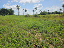 Load image into Gallery viewer, Lot for Sale in Trinidad, Bohol – 51,595 sqm (Clean Title)