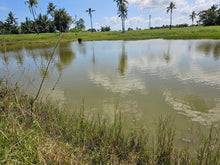 Load image into Gallery viewer, Lot for Sale in Trinidad, Bohol – 51,595 sqm (Clean Title)