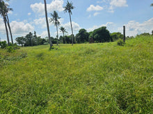 Load image into Gallery viewer, Lot for Sale in Trinidad, Bohol – 51,595 sqm (Clean Title)