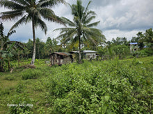 Load image into Gallery viewer, 8,000 sqm lot for sale at Balilihan Bohol