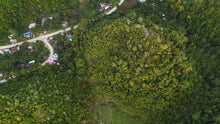Load image into Gallery viewer, 9 hectares for sale Balilihan Bohol Philippines 65 pesos per sqm negotiable