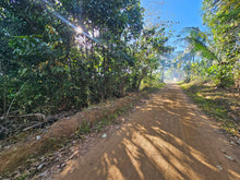 Load image into Gallery viewer, Affordable farm lot for sale clean title in Trinidad Bohol