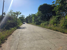 Load image into Gallery viewer, 4 Hectares Clean Title  near highway for Sale Trinidad Bohol Philippines