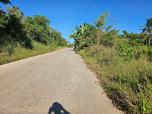 Load image into Gallery viewer, 4 Hectares Clean Title  near highway for Sale Trinidad Bohol Philippines